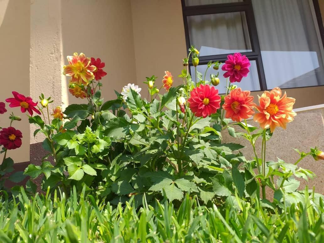 Styled Bed And Breakfast Palapye Kültér fotó